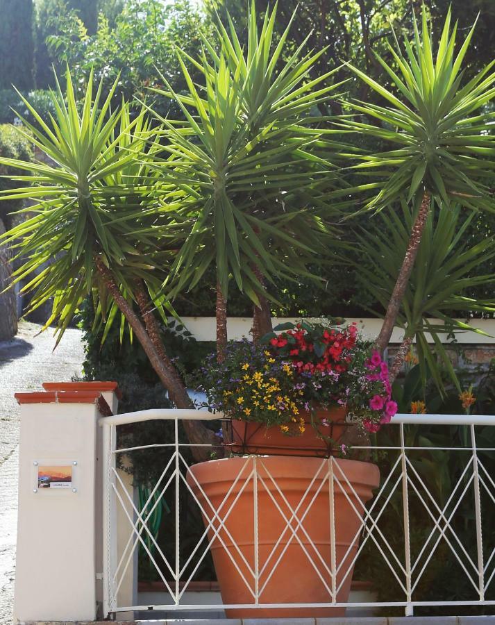 Liguria Home Ameglia Eksteriør billede