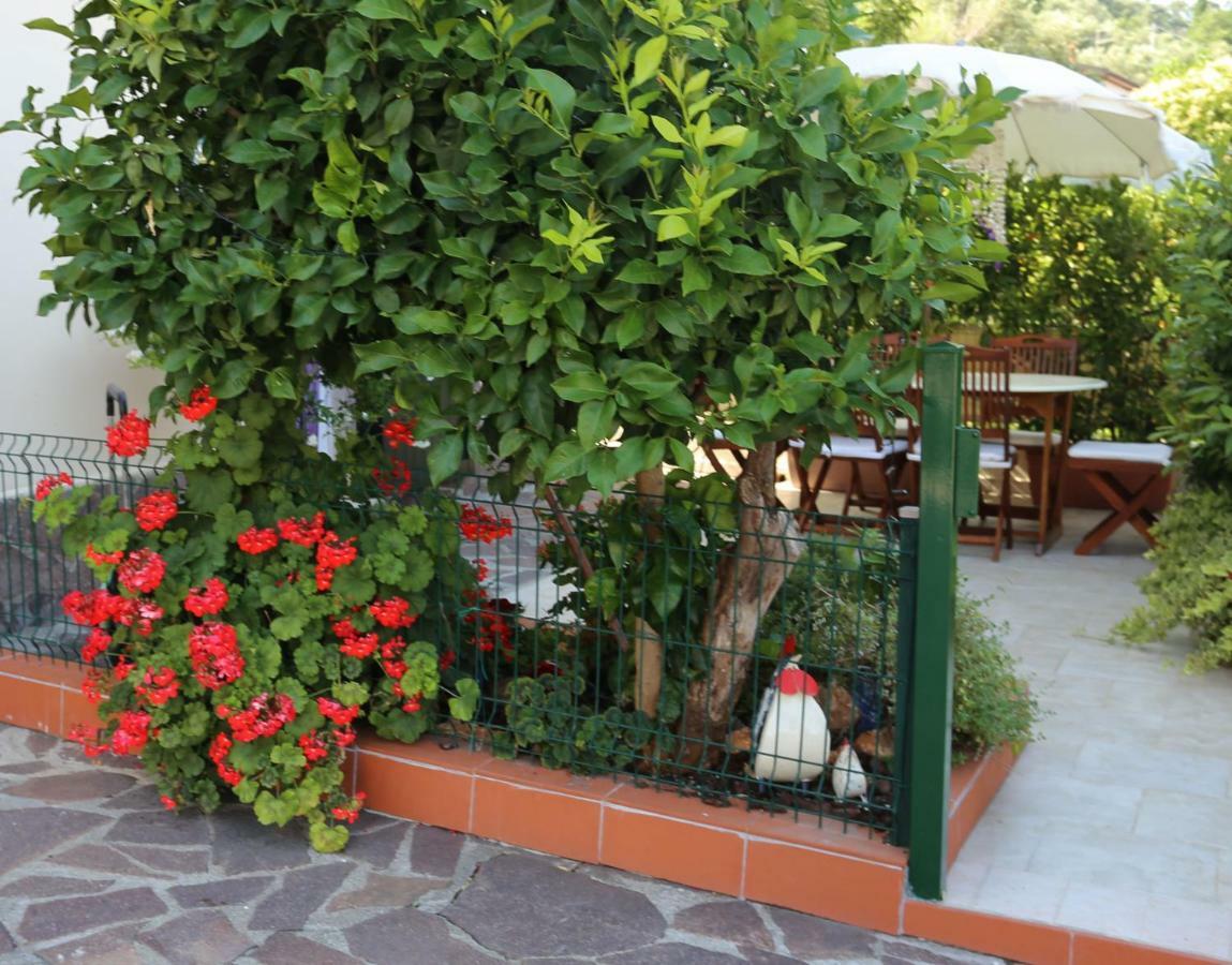 Liguria Home Ameglia Eksteriør billede